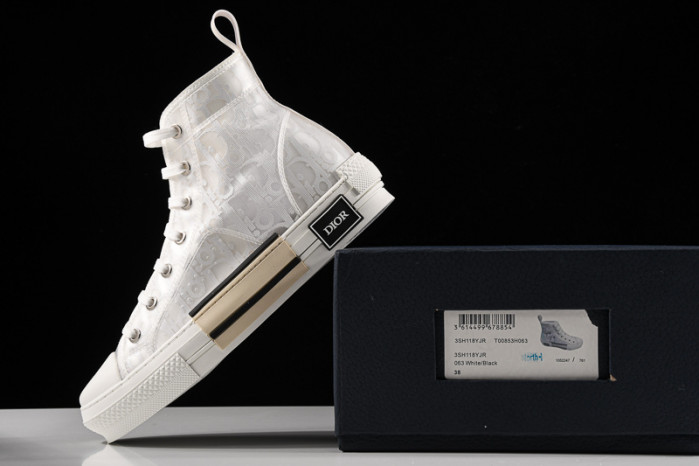 d10r b23 homme kaws high top sneaker