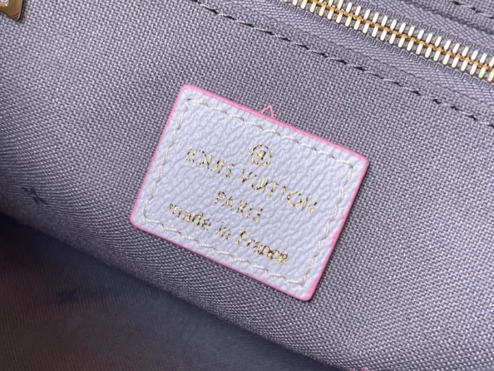 louiv onthego handbag m59856