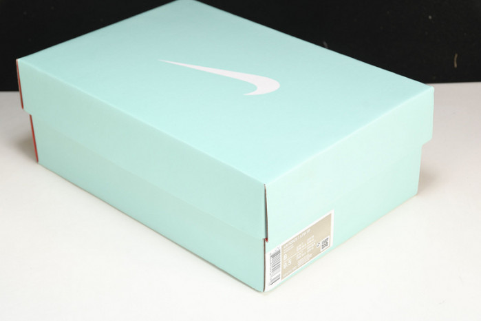 T*f*ny & co. x nike air force 1 low dz1382-001