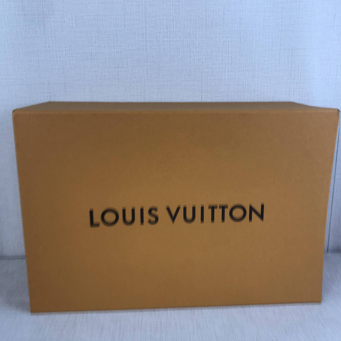 louiv frontraw sneaker