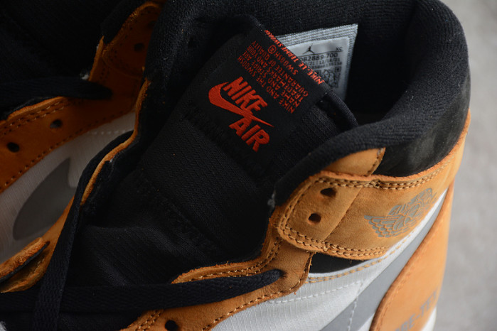 air jordan 1 high element gore-tex light curry db2889-700