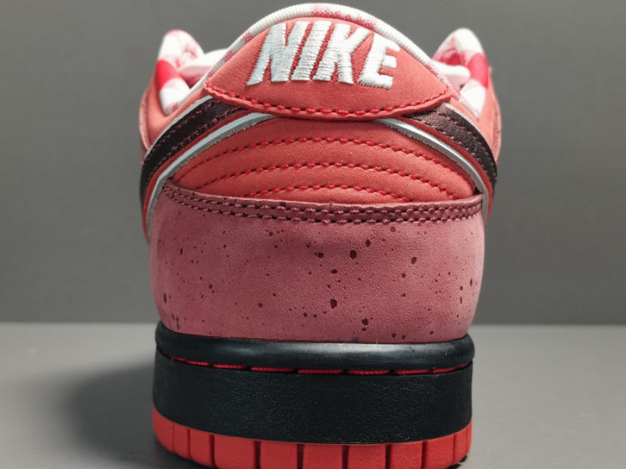 concepts x nk dunk low pro sb“red lobster” 313170-661